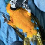 Aubrey Anderson-Emmons Instagram – photo dump but it gets more chaotic twardes the end