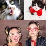 Audrey Whitby Instagram - Dumping like it’s a litter box ! Kitty collage courtesy of @sabinerrutten 😻
