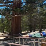 Audrey Whitby Instagram - a year in review: peaks and valleys