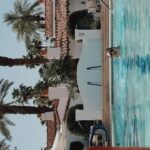 Aurélie Van Daelen Instagram - Fresh coke in hot Palm springs 🧊 (dernière vidéo c’est cadeau) 😅 @cocacolabelgium #publicité
