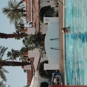 Aurélie Van Daelen Instagram - Fresh coke in hot Palm springs 🧊 (dernière vidéo c’est cadeau) 😅 @cocacolabelgium #publicité