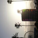 Aurélie Van Daelen Instagram – This baddie loves #coachella 🎡🌵🏜️🌴
Invited by @cocacolabelgium ❤️ #publicité