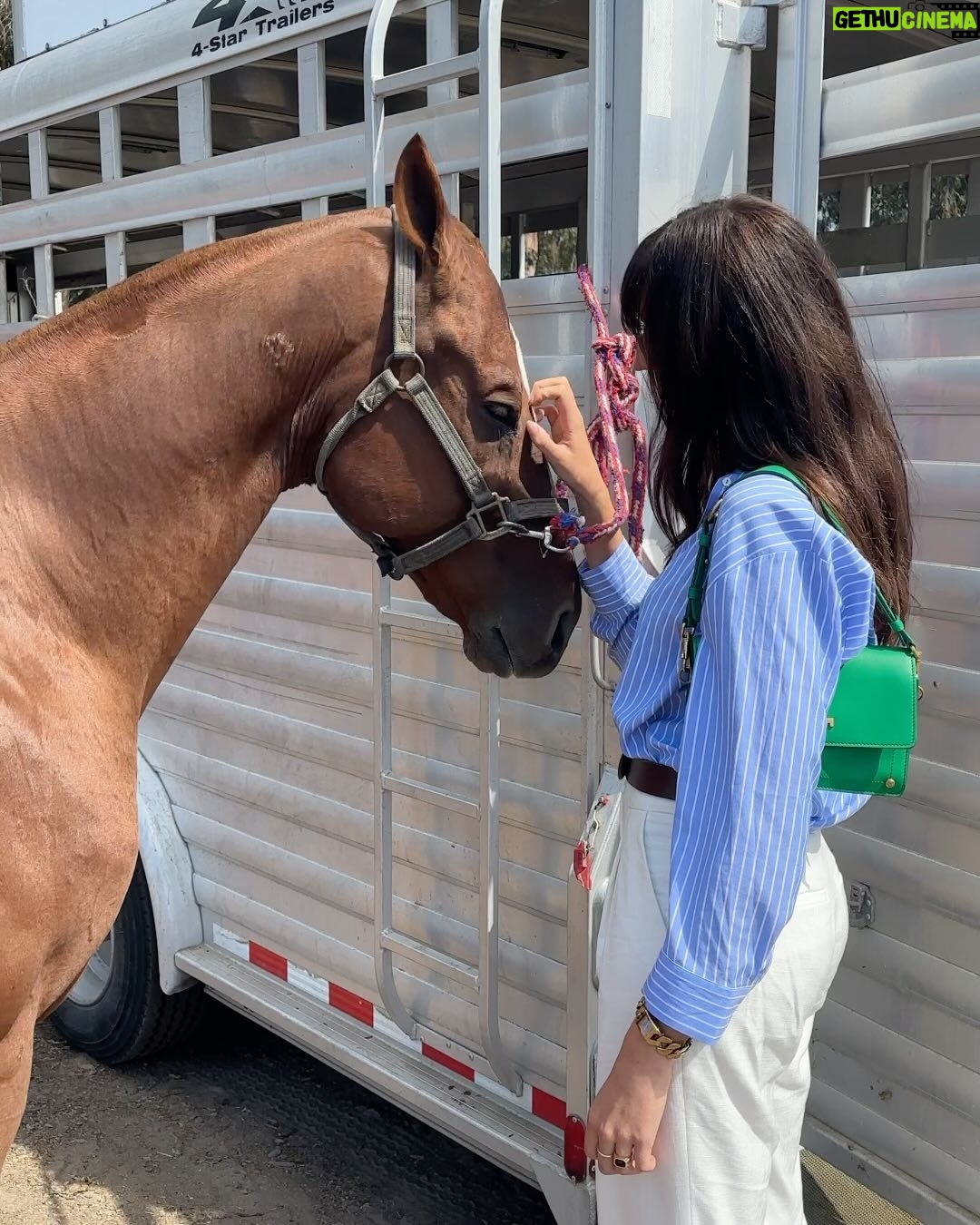Ava Michelle Instagram - polo in the palisades for an amazing cause @miriams.house 🐎🤍