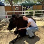 Ava Michelle Instagram – cow hugs 🥹🐮🫶🏼