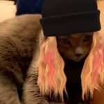 Awkwafina Instagram - My son still loves me! Part one of this goiter of a year end wrap up and thank the heavens for the animals in our lives ❤️