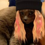 Awkwafina Instagram - My son still loves me! Part one of this goiter of a year end wrap up and thank the heavens for the animals in our lives ❤️