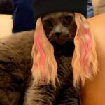 Awkwafina Instagram - My son still loves me! Part one of this goiter of a year end wrap up and thank the heavens for the animals in our lives ❤️