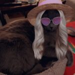 Awkwafina Instagram - My son still loves me! Part one of this goiter of a year end wrap up and thank the heavens for the animals in our lives ❤️