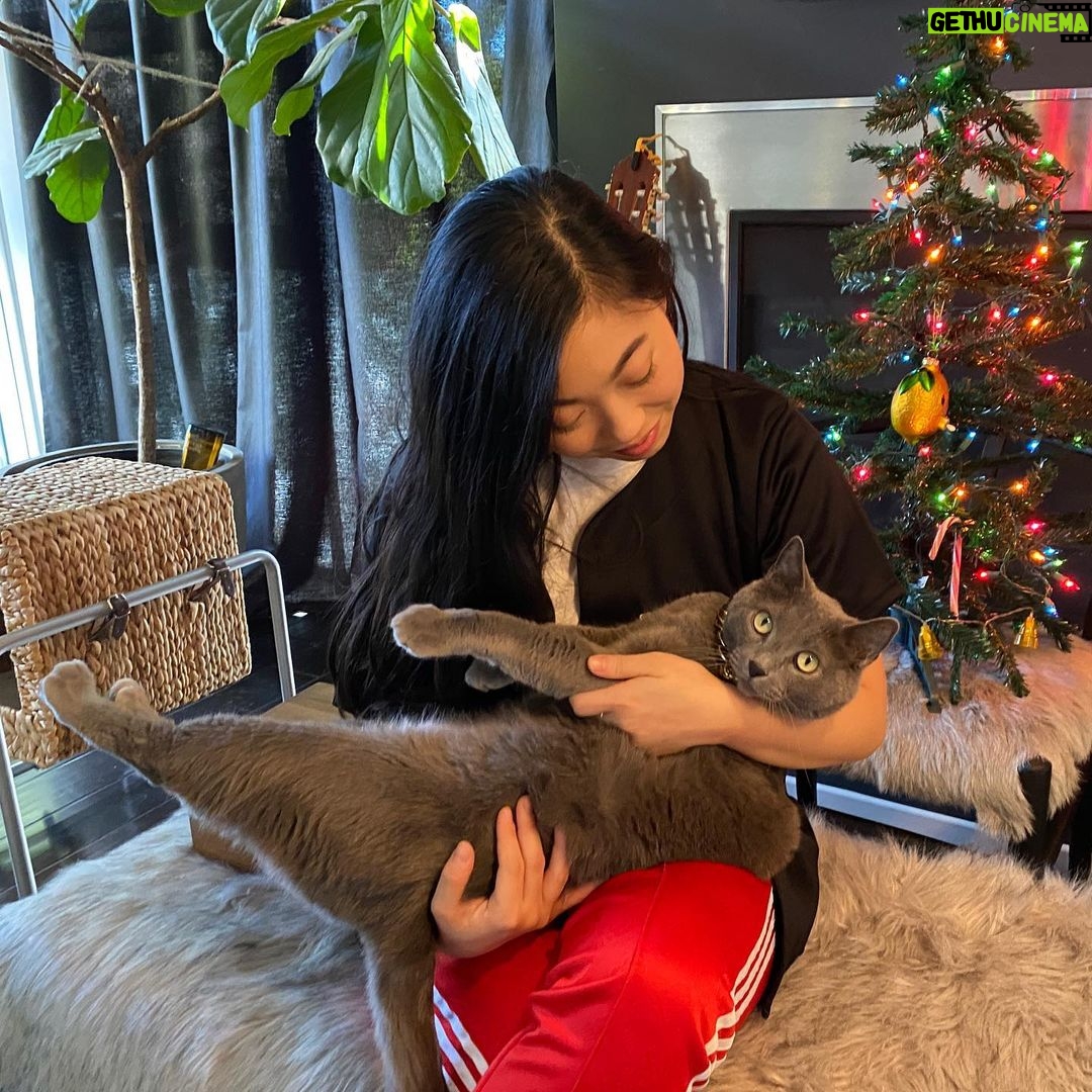 Awkwafina Instagram - Happy holidays everyone - sending my love to you and your families. This year has been a tough one. And every day my heart hurts for those who have lost loved ones, or have seen their livelihoods fall apart. For as long as I can remember, my grandma has sent $50 to St. Jude’s Children’s Hospital every year for Christmas. Instead of gifts this year, it felt right this holiday season to help those who have been affected by the pandemic. @serviceworkerscoalition is a grassroots nonprofit providing Covid relief to hospitality and service workers laid off during the pandemic. @nokidhungry advocates for children across the country to ensure that they can still be provided with meals as schools remain shuttered. @aafenyc has launched an emergency covid relief fund to help immigrant-run small businesses affected by the pandemic, with a focus on Chinatown, Flushing and Jackson Heights. @stjude aims to advance cures and means of prevention for pediatric catastrophic diseases through research and treatment. Love you all, and I’ll see you in 2021. Los Angeles, California