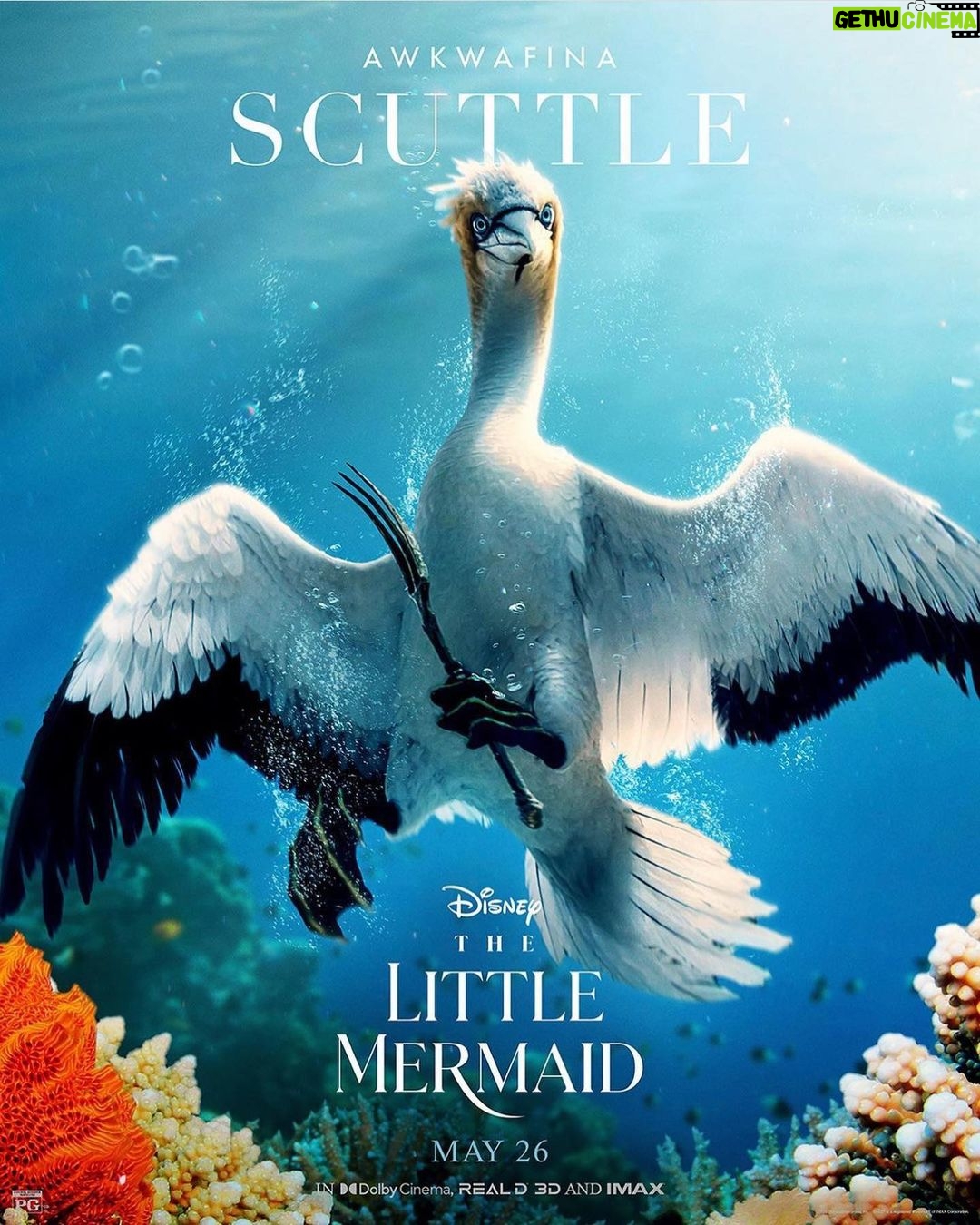 Awkwafina Instagram - It was the role of a lifetime and a once in a lifetime experience to play Scuttle and work with @hallebailey and the the rest of our amazing cast, director and composers! Disneys The Little Mermaid @disneylittlemermaid is out in theaters May 26th!!