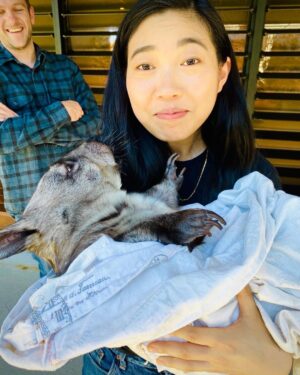 Awkwafina Instagram - Spent a lot of this quarantine hanging with animals and got to meet a rescued baby wombat back in January. 

Sydney, you were a blast 💥 and I will miss you.