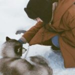Aya Omasa Instagram - 今更感たっぷりの極寒北海道☃️旅行のお写真❄️🩵 とっても寒かったけれど北海道で食べるアイスが美味しすぎて毎回食べます🍦✨ 北海道旅行おすすめありますか〜とよく聞かれますが、 ジンギスカン、海鮮、ラーメン、ソフトクリームは必ずたべて帰って〜 早くまた北海道に行きたい☃️❄️