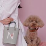 Aya Omasa Instagram - ヴァレンティノ ガラヴァーニ “ロックスタッズ ペット”インストアイベントになちゅと行ってきました🐶❤️ 毎回🐶と一緒に行けるこのイベントが楽しみに…！ 鞄や靴にイニシャルと絵を描いてもらえる期間限定ショップ、是非遊びに行ってみて下さい✨🦜🐇🐈 #RockstudPet #ValentinoGaravani @MaisonValentino #pr ヴァレンティノ 銀座にて、 5月12日（日）まで開催中🐶❤️