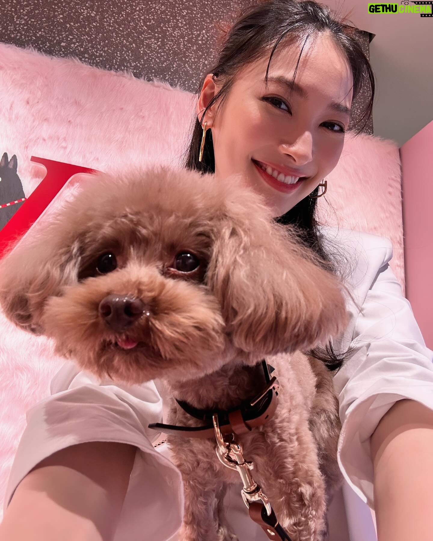 Aya Omasa Instagram - ヴァレンティノ ガラヴァーニ “ロックスタッズ ペット”インストアイベントになちゅと行ってきました🐶❤️ 毎回🐶と一緒に行けるこのイベントが楽しみに…! 鞄や靴にイニシャルと絵を描いてもらえる期間限定ショップ、是非遊びに行ってみて下さい✨🦜🐇🐈 #RockstudPet #ValentinoGaravani @MaisonValentino #pr ヴァレンティノ 銀座にて、 5月12日(日)まで開催中🐶❤️