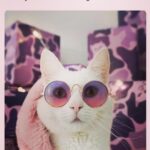 Ayesha Takia Instagram – 😎💜🦄