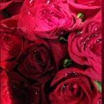 Ayesha Takia Instagram –