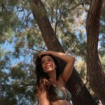 Azra Akın Instagram - Doğa🌿 #ılgınağacı