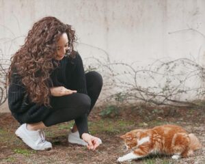 Azra Akın Instagram - Sevimli dostlarımız için bir kap su, mama ve birazcık oyun hayat kurtarır🐾