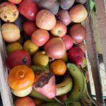 Bárbara Lombardo Instagram – 1. Dos gatitos enamorados 
2. Hay equipo 🍀✨🧿
3. Post pastas 💜 
4. En la ofi 
5. Mis verduras y frutas orgánicas @almazentiendaorganica_ 💞❤️
6. Mi desayuno favorito.