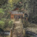 Bárbara Mori Instagram - Himenoi. El pueblo donde nació y creció mi abuelo, Saburo Mori. Se encuentra al sur oeste de Kōchi, en Japón. Mori viene de Japón y significa BOSQUE. Había dentro de mi un llamado a re conectar con mi origen, a recordar de donde vengo, honrar a Saburo con quien crecí y sanar mi linaje. De alguna forma mágica ir en busca de nuestras raíces y conectar con nuestros ancestros, nos transforma, nos libera, nos aligera el peso. Mi sangre está impregnada de sus formas. Mi abuelo en cada esquina resurgía. Una parte mía importante, es de allá. Su cultura, sus templos, su olor, sus flores. Nos recibieron todos con el corazón abierto, así como llegamos nosotros dispuestos a recibir. Yo sabía que iba a recuperar algo que nos pertenece. Mis hermanos también. Estábamos seguros. Y un sin fin de detalles. Así como lo envuelven todo desde el amor y el cuidado hacia el otro, así mismo, con papel colorido y estampado, envolvieron mi corazón con cada hallazgo. Hospitalarios, amorosos y serviciales. Conocimos muchas personas que queríamos llevarnos a casa por la ternura con la que nos trataban, por lo bello de sus actos. Dos angelitos que pusieron en nuestro camino, Mayuko y Martin que de la mano nos llevaron a recorrer ese camino de regreso a casa, a mi y a mis hermanos, pues traía a cada uno en un bolsillo. Fer, compañero inseparable, caminó a mi lado cada paso y se maravilló junto conmigo por todo lo que esas tierras nos ofrecieron. Me contuvo como un guardián protector del bosque. Gracias a todos los seres de luz que me acompañaron en esta búsqueda. Gracias a la LUNA por ser ese faro e iluminar siempre mi camino. @elrovzar @lapkenya @kintaromusic