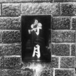 Bárbara Mori Instagram - Himenoi. El pueblo donde nació y creció mi abuelo, Saburo Mori. Se encuentra al sur oeste de Kōchi, en Japón. Mori viene de Japón y significa BOSQUE. Había dentro de mi un llamado a re conectar con mi origen, a recordar de donde vengo, honrar a Saburo con quien crecí y sanar mi linaje. De alguna forma mágica ir en busca de nuestras raíces y conectar con nuestros ancestros, nos transforma, nos libera, nos aligera el peso. Mi sangre está impregnada de sus formas. Mi abuelo en cada esquina resurgía. Una parte mía importante, es de allá. Su cultura, sus templos, su olor, sus flores. Nos recibieron todos con el corazón abierto, así como llegamos nosotros dispuestos a recibir. Yo sabía que iba a recuperar algo que nos pertenece. Mis hermanos también. Estábamos seguros. Y un sin fin de detalles. Así como lo envuelven todo desde el amor y el cuidado hacia el otro, así mismo, con papel colorido y estampado, envolvieron mi corazón con cada hallazgo. Hospitalarios, amorosos y serviciales. Conocimos muchas personas que queríamos llevarnos a casa por la ternura con la que nos trataban, por lo bello de sus actos. Dos angelitos que pusieron en nuestro camino, Mayuko y Martin que de la mano nos llevaron a recorrer ese camino de regreso a casa, a mi y a mis hermanos, pues traía a cada uno en un bolsillo. Fer, compañero inseparable, caminó a mi lado cada paso y se maravilló junto conmigo por todo lo que esas tierras nos ofrecieron. Me contuvo como un guardián protector del bosque. Gracias a todos los seres de luz que me acompañaron en esta búsqueda. Gracias a la LUNA por ser ese faro e iluminar siempre mi camino. @elrovzar @lapkenya @kintaromusic