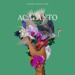 Bárbara Mori Instagram - ACALANTO Primer sencillo del álbum “We One” @smayermori ❤️ Vibraciones en toda dirección. No me preguntes, solo pon atención. Acalanto, que todo llegará. Un sentimiento tendrá que despertar. Tengo en mis hombros un calor cuando hablo de estos temas con respecto al amor. ¿Y será coincidencia? Hoy tengo la paciencia. Solo hablar de esto es mi honor. Pasarle este mensaje al que corra la voz. ¿Y será coincidencia el despertar de la consciencia?  Siento que esta es nuestra oportunidad para ver la vida desde otro lugar. Me parece necesario empezar a cambiar. Actuar con amor. Imagina el resplandor.  Siento que esta es nuestra oportunidad para ver la vida desde otro lugar. Me parece necesario empezar a cambiar. Actuar con amor. Imagina el resplandor.  Hey!  ¿Quien está preparado? Quiero aprender a quien seguir en mi estado. ¿se acuerdan de mi? NO. De mi pasado... Asi que dejen de juzgar. Dejen de mamar. Ponganse a platicar que esta vida solo trata de aprender a amar. Y si no lo digo yo pues lo siento. Pero soy el unico rapeando de esto y ni rapeo. Yo se que es mi momento. Que solo hablo de lo que verdaderamente siento. Ni rapido ni lento. Sin tiempo. Contento. Mi tema no es la religión.  Esto no es un convento. Pero es mi obligacion dejarte bien atento que lo importante es el amor y la consciencia para estar despiertos. Tengo en mis hombros un calor cuando hablo de estos temas con respecto al amor. ¿Y será coincidencia? Hoy tengo la paciencia. Solo hablar de esto es mi honor. Pasarle este mensaje al que corra la voz. ¿Y será coincidencia el despertar de la consciencia?  Siento que esta es nuestra oportunidad para ver la vida desde otro lugar. Me parece necesario empezar a cambiar. Actuar con amor. Imagina el resplandor.  Siento que esta es nuestra oportunidad para ver la vida desde otro lugar. Me parece necesario empezar a cambiar. Actuar con amor. Imagina el resplandor.