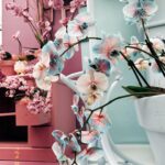 Başak Gümülcinelioğlu Instagram - Spontanlık vol bilmem kaç🥹 Keukenhof bahçeleri , bir sürü güzel lale, dünyanın tüm renkleri, Çağrı ve ben. Tatili uzatınca köyleri, kasabaları, doğal güzellikleri keşfetmeye karar verdik. Bir korkumun daha üzerine gidip, tek başıma göleti yürüyerek geçtim. İnsanlık için küçük olabilir, benim için büyük bir adım. Özellikle durmayı kendine lüks sayarak yaşayanlara tavsiyemdir, burası nefes almak ve iyileşmek zorunda bırakıyor sizi, gelin🌷