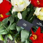 Başak Gümülcinelioğlu Instagram - Spontanlık vol bilmem kaç🥹 Keukenhof bahçeleri , bir sürü güzel lale, dünyanın tüm renkleri, Çağrı ve ben. Tatili uzatınca köyleri, kasabaları, doğal güzellikleri keşfetmeye karar verdik. Bir korkumun daha üzerine gidip, tek başıma göleti yürüyerek geçtim. İnsanlık için küçük olabilir, benim için büyük bir adım. Özellikle durmayı kendine lüks sayarak yaşayanlara tavsiyemdir, burası nefes almak ve iyileşmek zorunda bırakıyor sizi, gelin🌷