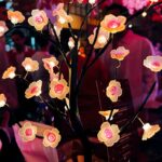 Başak Gümülcinelioğlu Instagram - Aşırı pembe biri, hayal dünyası, saz arkadaşları ve dünyanın en pembe postu 🌸 Kaydırınca bir şeyi çok sevdiğimde dönüştüğüm Japon animenin sesini duyuyoruzahshjajaj İyi pazarlar, gününüz mis gibi geçsin dostlarım 🪬