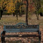 Başak Parlak Instagram - Güz 🍂