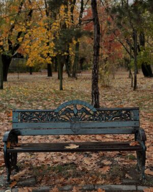 Başak Parlak Instagram - Güz 🍂