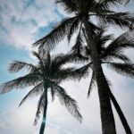 Başak Parlak Instagram - Beach day 🏝️