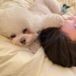 Bae Suzy Instagram - 뒤적뒤적🐾