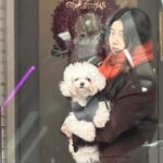 Bae Suzy Instagram - 뒤적뒤적🐾