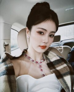 Bai Lu Instagram -