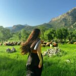 Bana Shirwan Instagram - today reminded me of my childhood sm