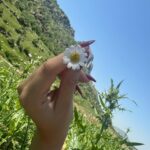 Bana Shirwan Instagram - today reminded me of my childhood sm