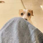 Bang Min-ah Instagram - 공돌따꿍미안해 잠깐 놀다온거야 😣