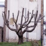 Banksy Instagram -
