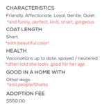 Barbara Corcoran Instagram - Cutest dog ever with the cutest name ever! Now is your chance to adopt your very own Barbara Corcoran ❤️🐶😍@badassanimalrescue #adoptdontshop #adoption #puppylove