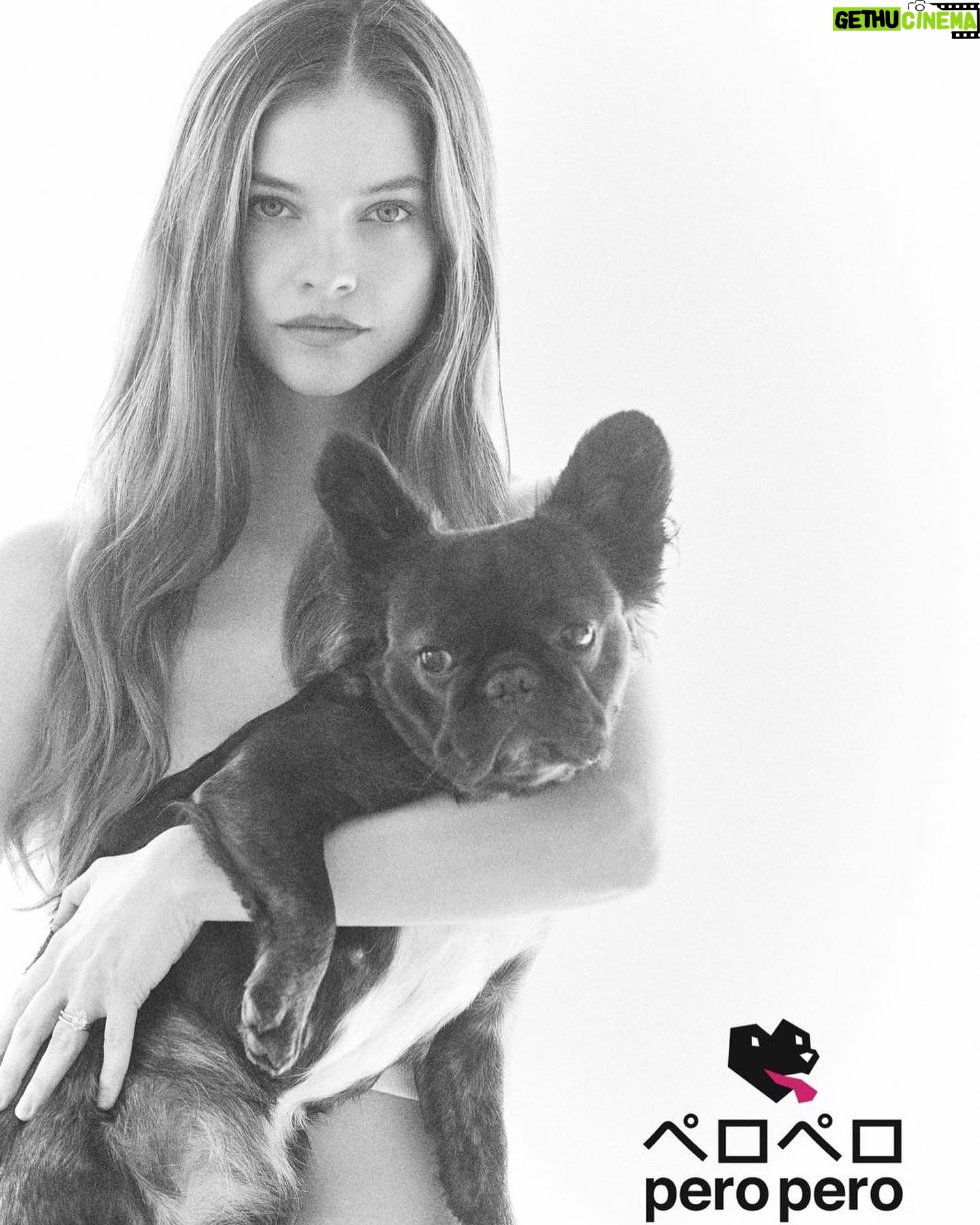 Barbara Palvin Instagram - ๐พ So proud of my girl @stellamaxwell I know how long she has been working on this project! And now @myperopero is Finally here. AND PIGGY CAN BE THE STAR THAT SHE IS! ๐ถ And finally smell amazing at the same time and be clean in a minute hehe. #myperopero
