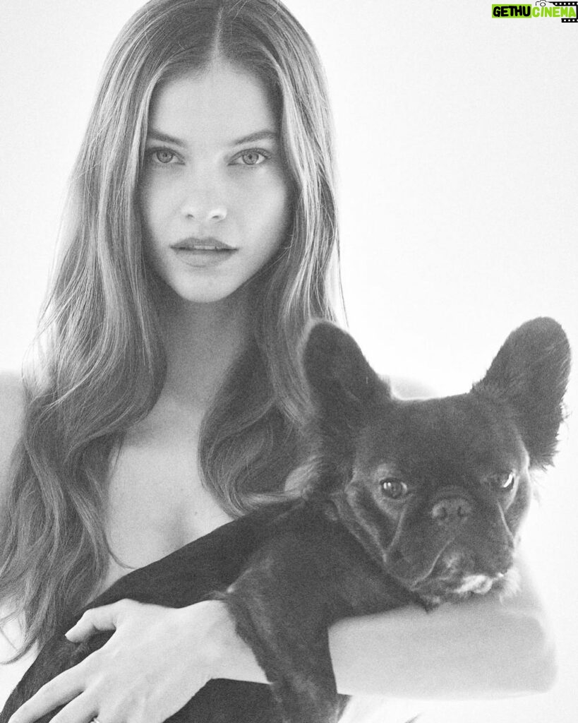 Barbara Palvin Instagram - 🐾 So proud of my girl @stellamaxwell I know how long she has been working on this project! And now @myperopero is Finally here. AND PIGGY CAN BE THE STAR THAT SHE IS! 🐶 And finally smell amazing at the same time and be clean in a minute hehe. #myperopero