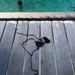 Beatrice Vendramin Instagram - paradise on earth