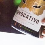 Bebe Rexha Instagram – Ahhhh!! Sooo excited to finally announce that I am an official partner in Provocativo! 🍾✨ This is something I’ve been working on for a while now and as the first luxury Cava brand of its kind — it’s provocative and perfect, just like me ✨ @provocativobubbles #ProvocativoPartner #PerfectlyYou