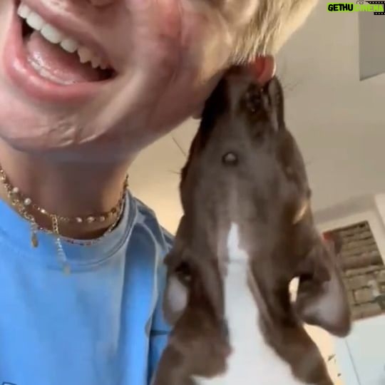 Bebe Vio - 35.1K Likes - Dog sitter per un giorno 🐶 e sto già pensando di non restituirlo più 😍😍😍😜