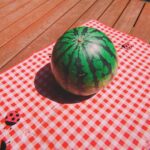 Becky Instagram - 昨日は夏だったーーーーー！ みんなでスイカ割り🍉 毎年予約注文しているのはら農研塾さんのおいしいスイカです🌈 今年もおいしいです！ 色々と仲間と思い出作りできて、たのしいな。 さて。 ドラマ『君が獣になる前に』もラストスパート！ がんばります！ ガムばります！