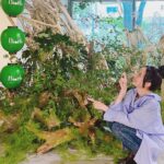 Becky Instagram - @biople フェスへ。 biopleとはbio (オーガニック)なpeople (人)を意味する造語です。 国内外の選りすぐりのプロダクトと出合えるビープルさんのフェス！ こちらの綿棒には感動。 これ、繰り返し使える綿棒なんです。 色々なタイプがあるんですが、私はメイク直し用を頂きました。 水と石鹸で洗い流せて繰り返し使える。 ケースは植物原料でできている。 ケースの内側にはミラーも別で買ってつけられました！ 最高です！ こういうものを探してた！！ 大切に使わせもらいます。