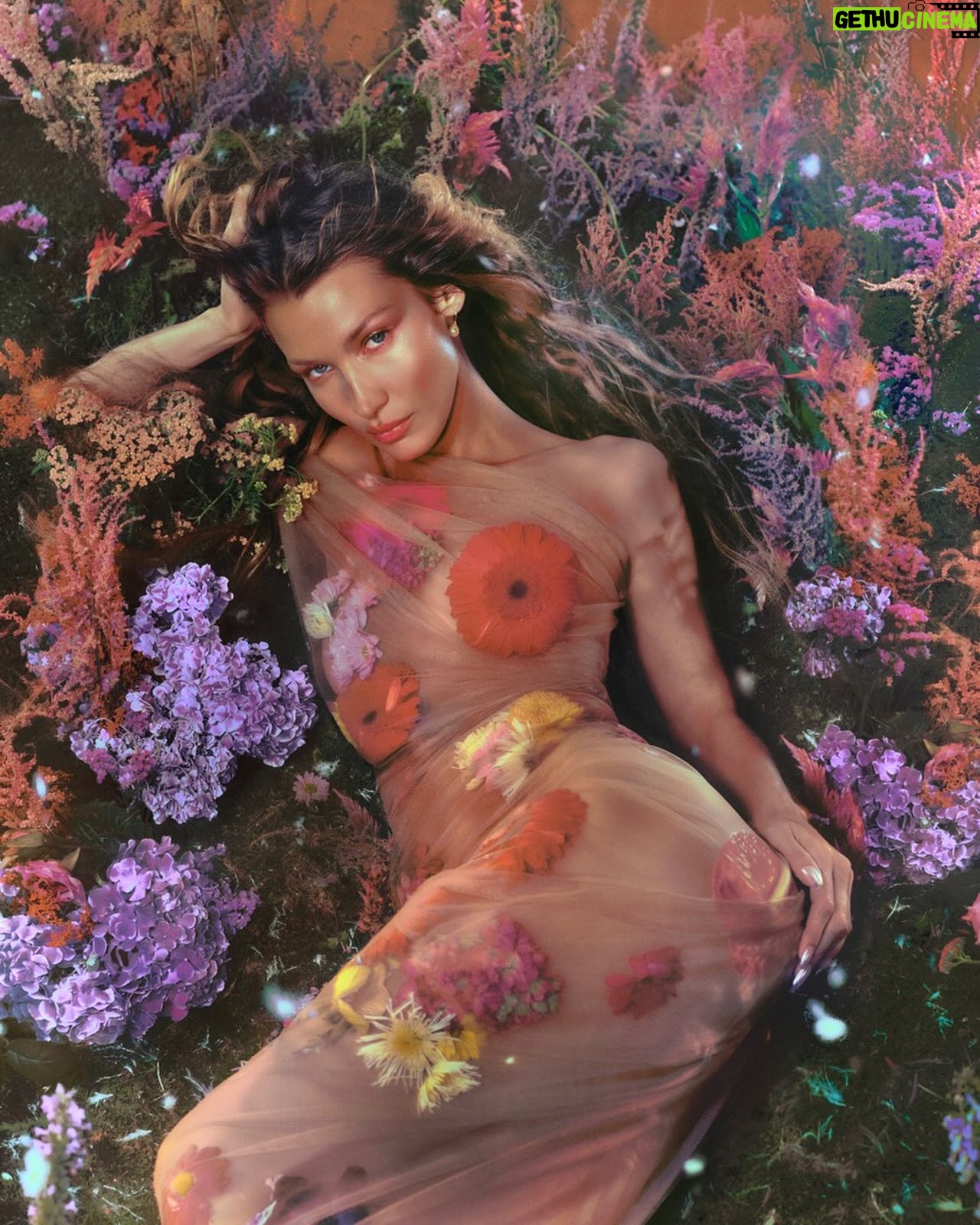 Bella Hadid Instagram - As a flower blossoms, the eyes open ๐น Discover WINDOW2SOUL: a sheer floral bouquet composed of rose, jasmine & tonka bean. Shake to activate and get transported to the garden. Available NOW at Orebella.com