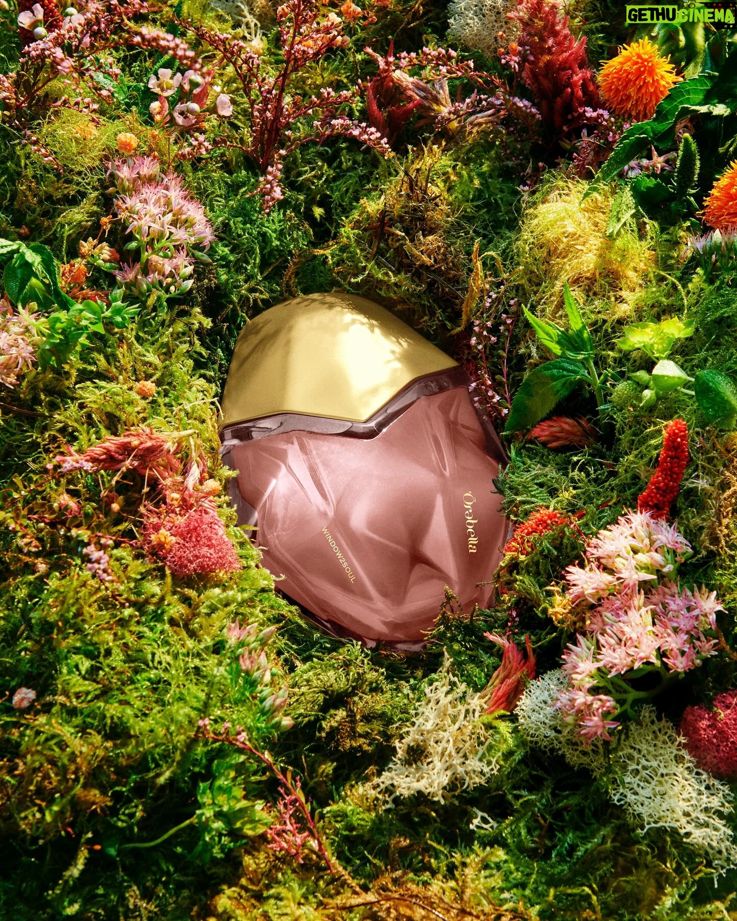 Bella Hadid Instagram - As a flower blossoms, the eyes open ๐น Discover WINDOW2SOUL: a sheer floral bouquet composed of rose, jasmine & tonka bean. Shake to activate and get transported to the garden. Available NOW at Orebella.com