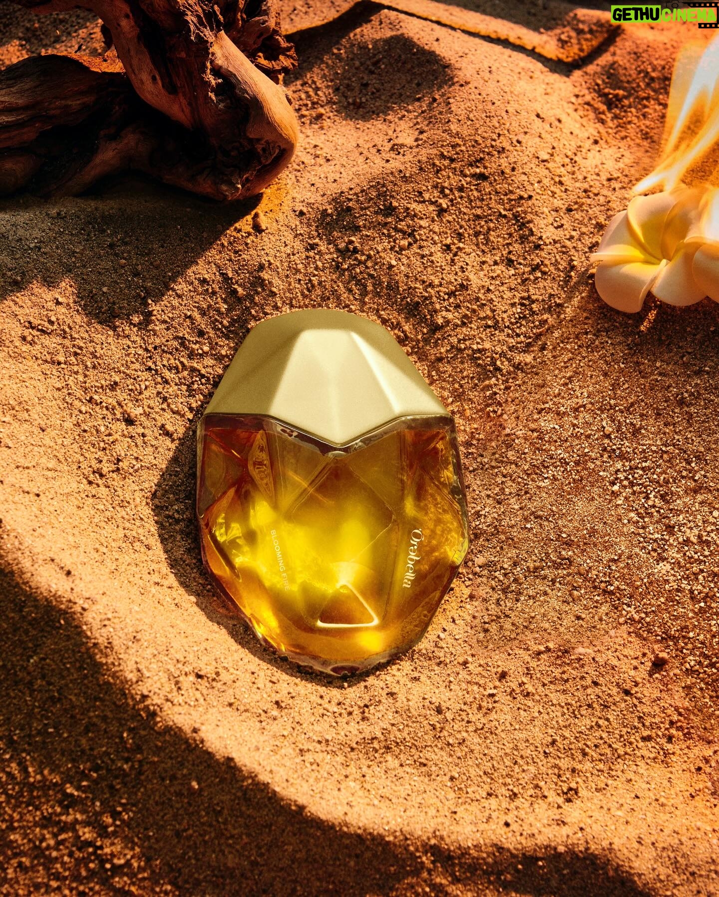 Bella Hadid Instagram - Wrapped in the sun’s golden embrace 🔥 Explore BLOOMING FIRE: a transportive warm floral featuring monoi, bergamot & patchouli. Shake to activate and escape to the desert. Available NOW at Orebella.com